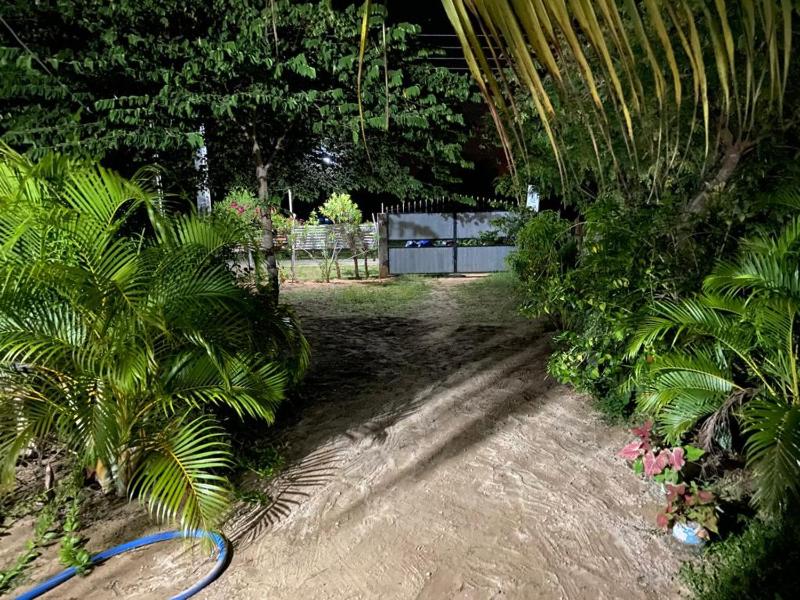 U new guest house - image 7