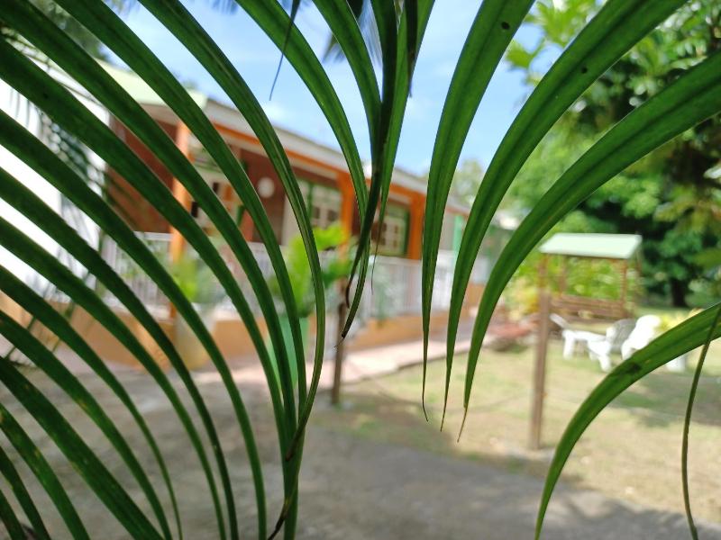 Bungalow PAPAYE - image 10