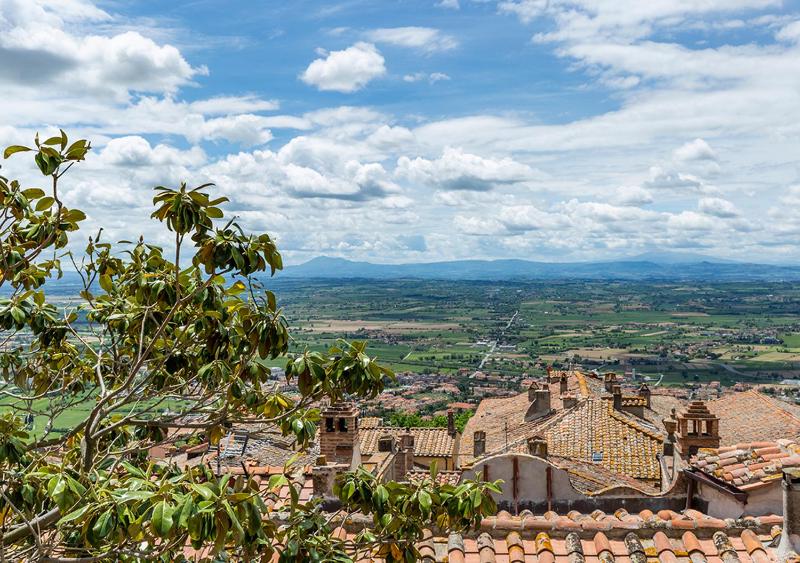 Sotto il Sole di Cortona - image 2