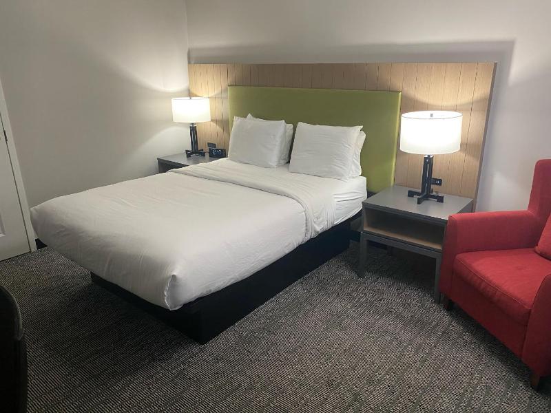 King Room - Accessible/Non-Smoking image 1