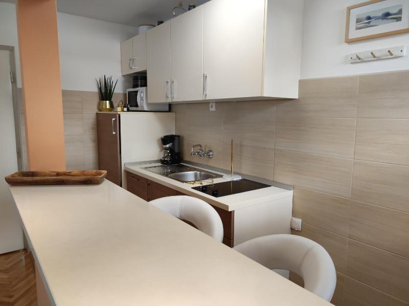 Studio with Terrace image 4