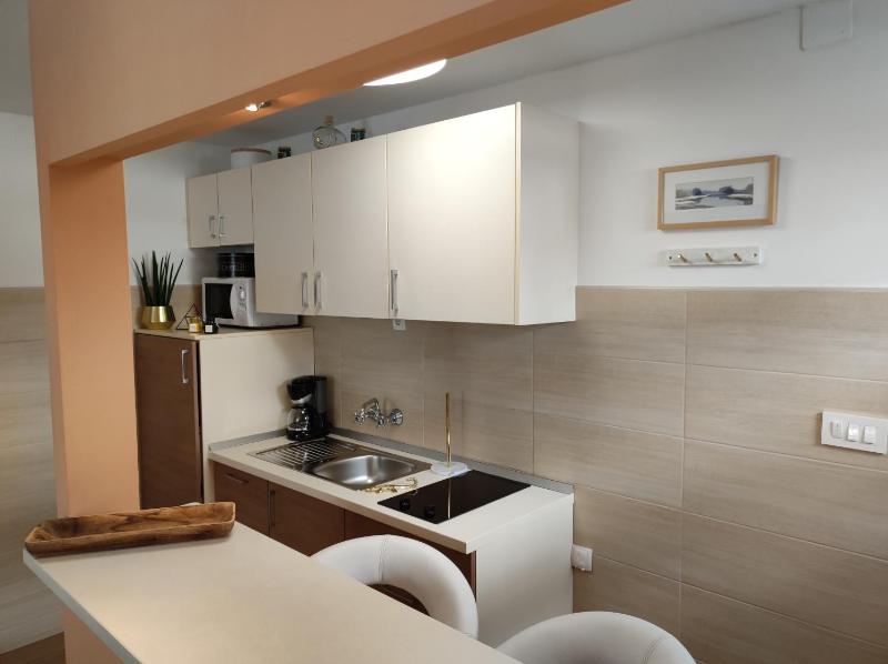 Studio with Terrace image 3