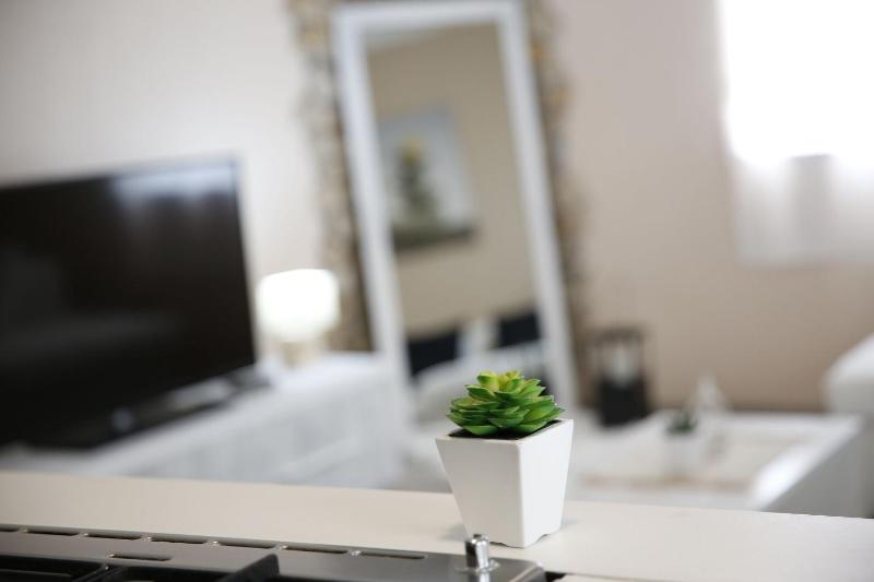 One-Bedroom Apartment image 3