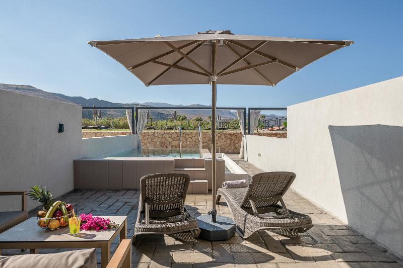 VIP Double Room with Private Pool image 4