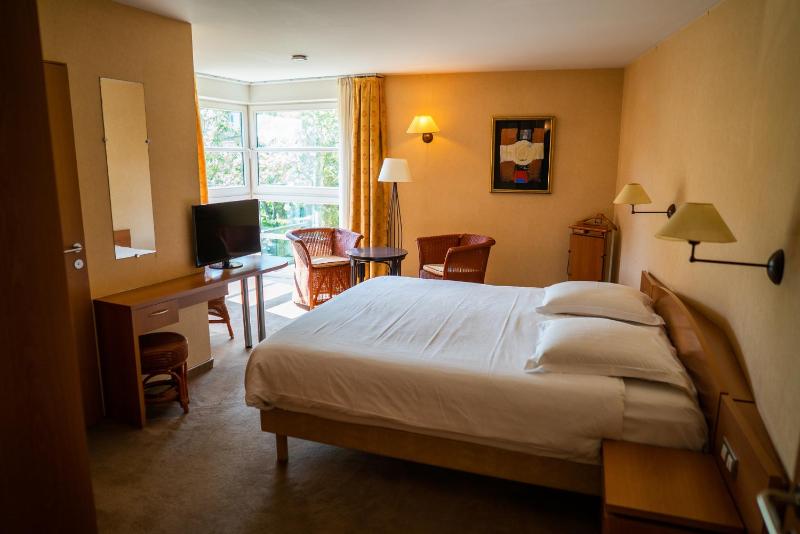 Deluxe Double Room image 3