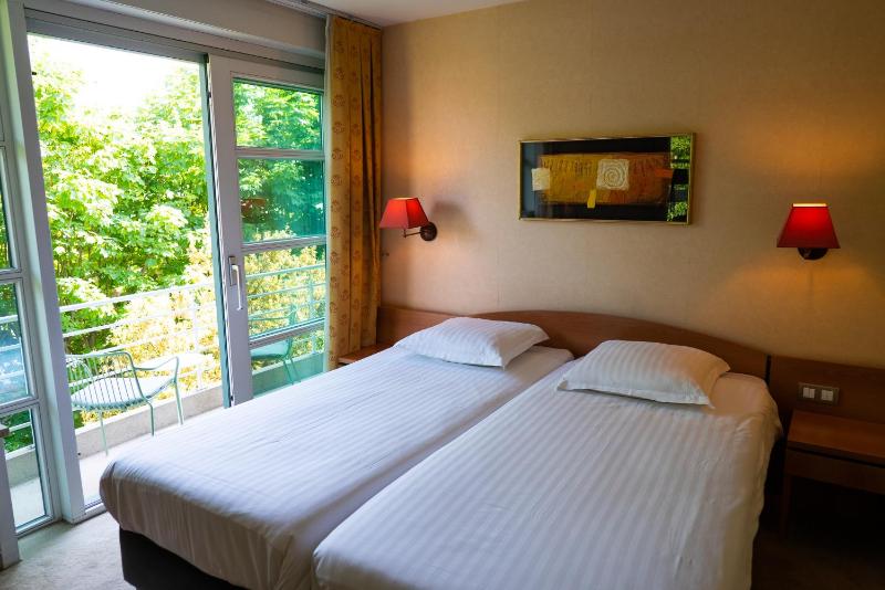 Superior Twin Room image 1