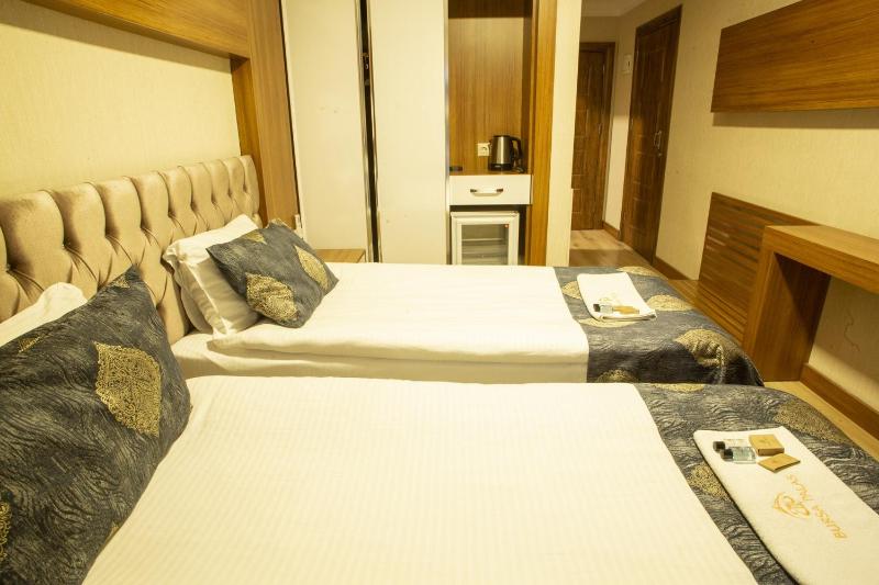 Standard Double or Twin Room image 4