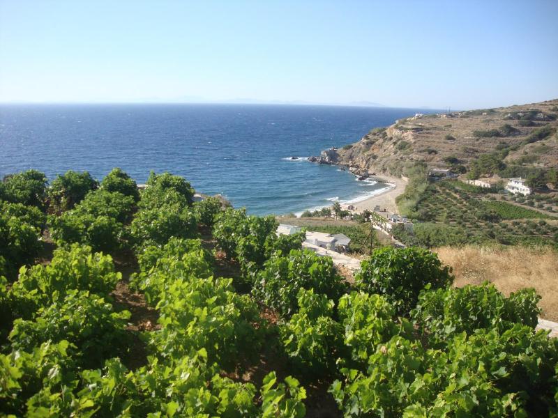 Villa with Sea View image 3