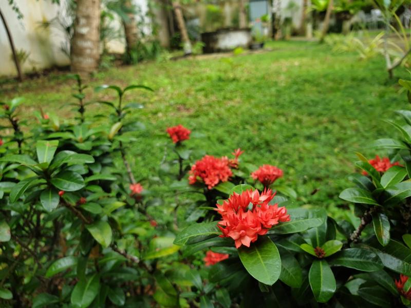 Olee Villa - image 40