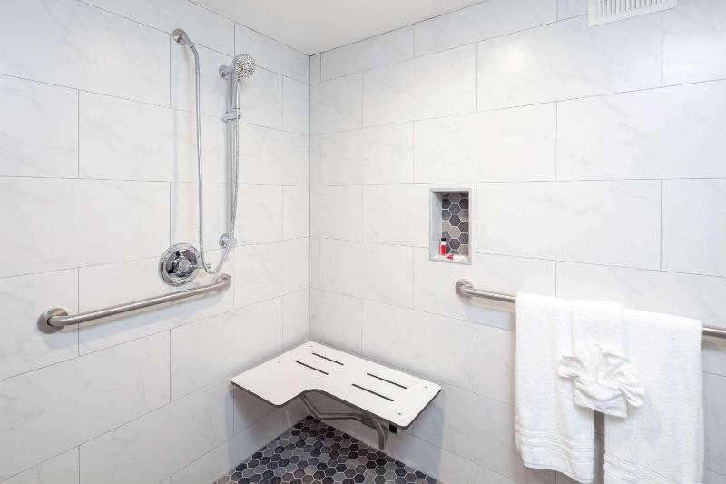 1 King Bed, Mobility/Hearing Impaired Access Room, Roll-In Shower, Non-Smoking image 2