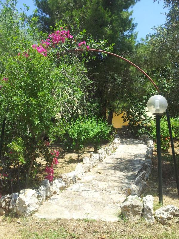 One-Bedroom House image 2