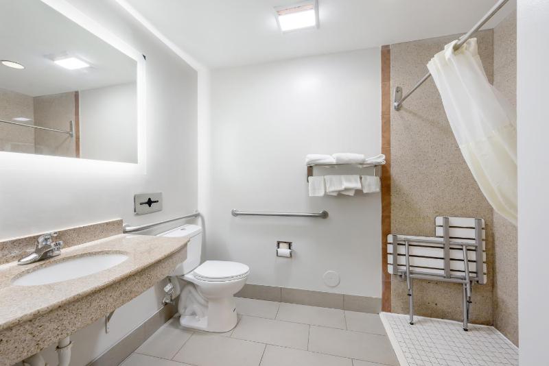 Premium King Room Disability Access Roll-In Shower Smoke Free (Upgraded Bedding and Snack Box) image 2
