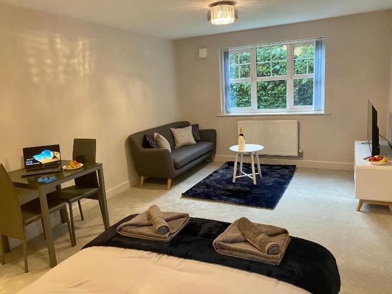 Private Luxury Room Southampton - image 1