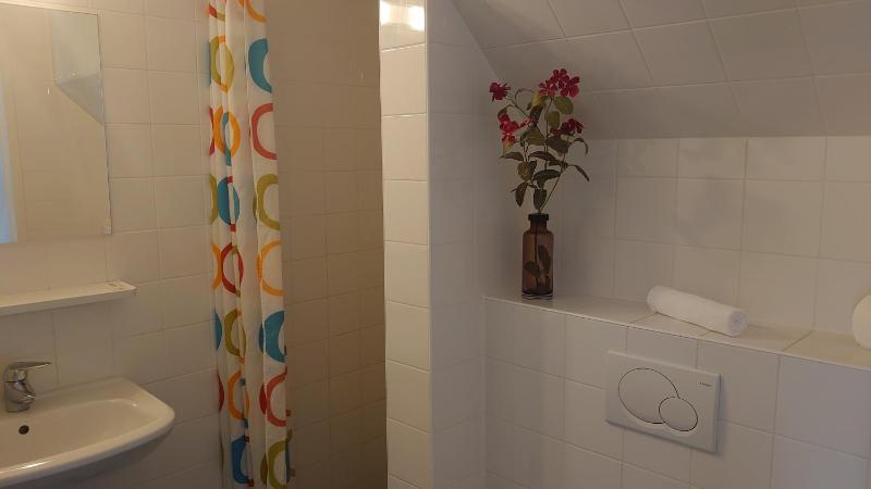 Large Single Room image 3