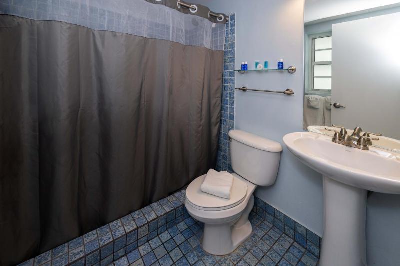 Deluxe Double Room image 2