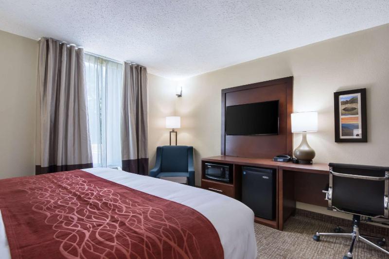 King Room - Accessible/Non-Smoking image 4