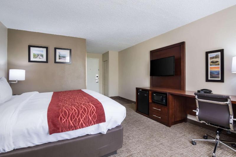 King Room - Non-Smoking image 4