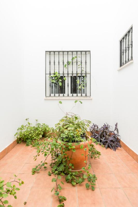 Budget Double Room image 3