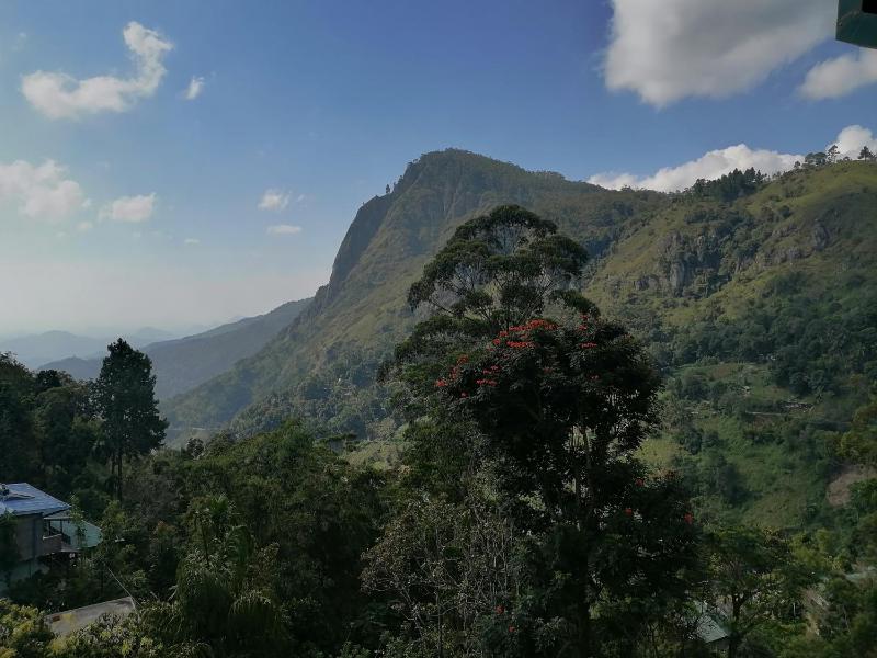 Green Village - image 9