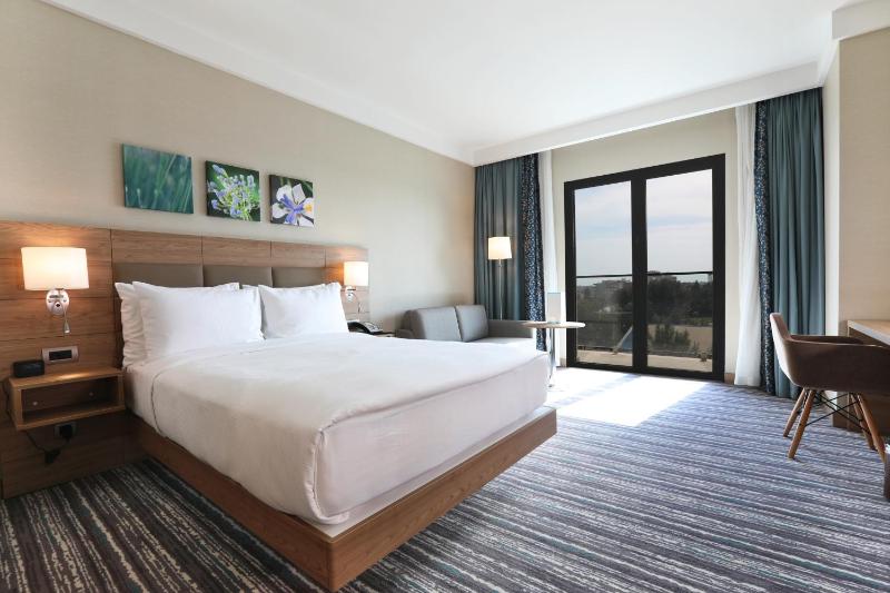 Deluxe King Room image 1