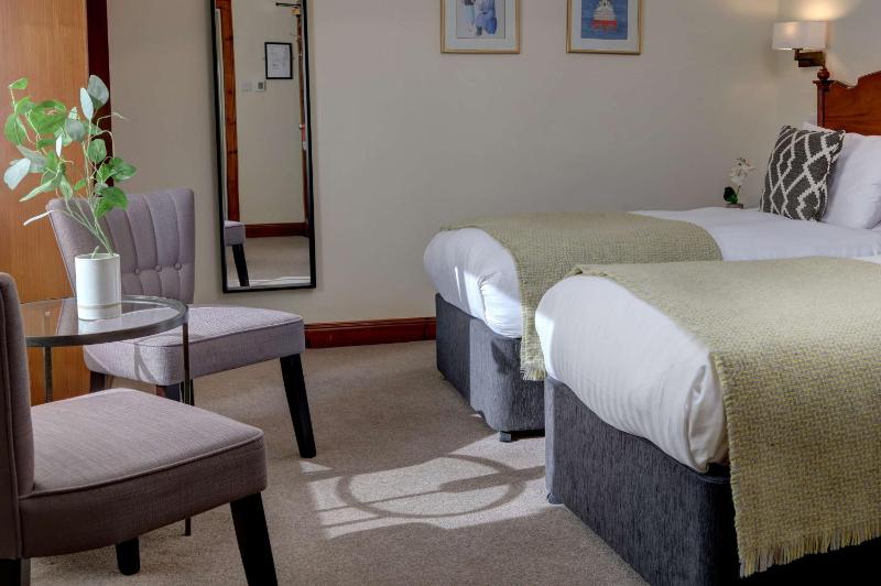 Superior Twin Room image 4