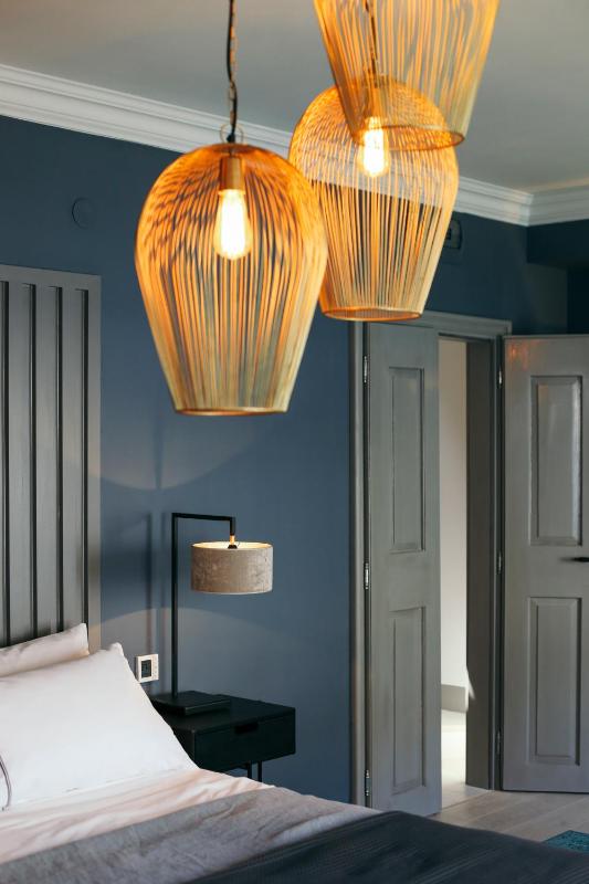 Deluxe King Suite image 4