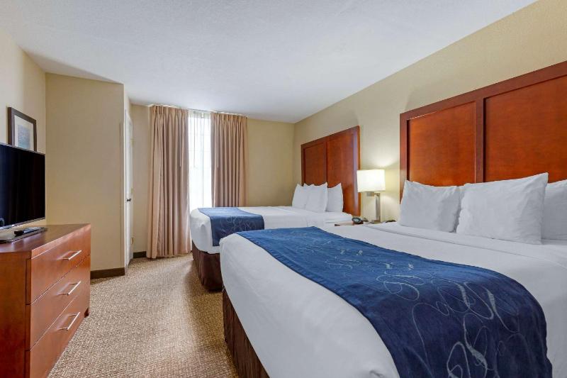 Queen Suite with Two Queen Beds and Sofa Bed image 3