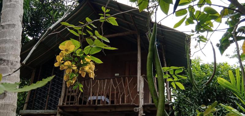 Sigiri Panaromic Tree House - image 6