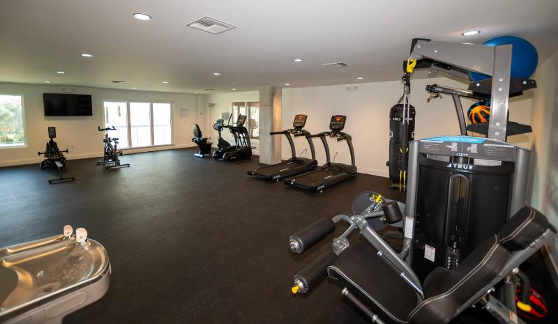 The Avalon Club - image 3