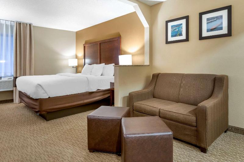Deluxe King Suite - Non-Smoking image 3