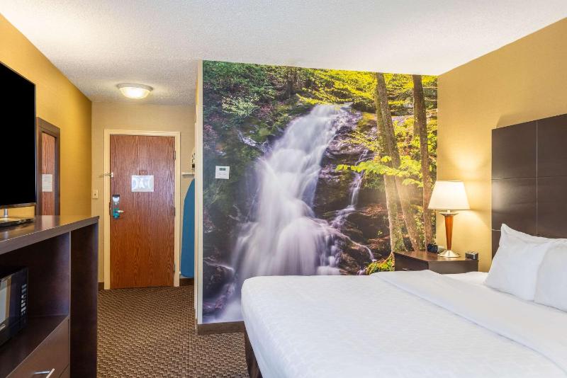 King Room - Non-Smoking image 4