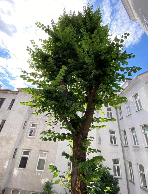 Standard Apartment image 3