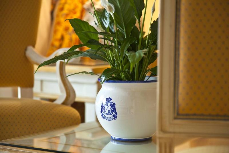 Deluxe Double or Twin Room with Garden View image 4