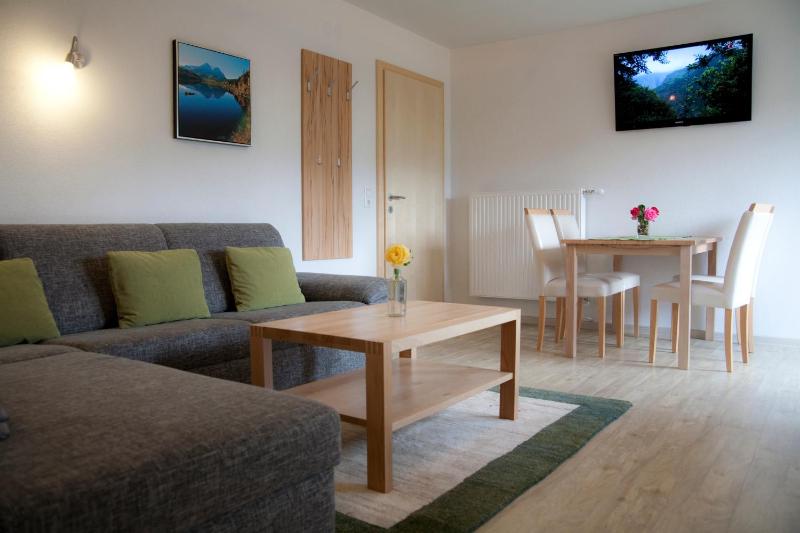 Large One-Bedroom Apartment with Balcony image 4