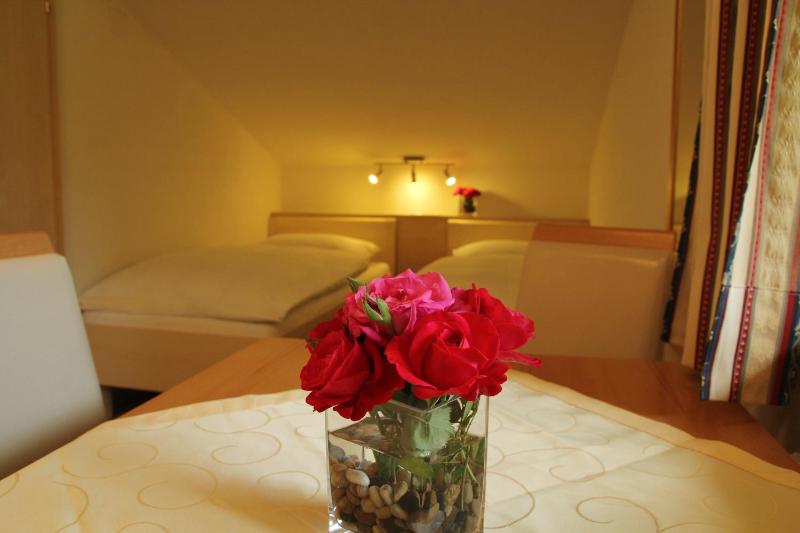 Large One-Bedroom Apartment image 4