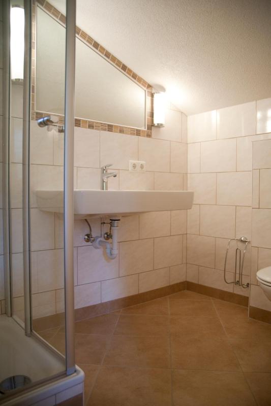 Large One-Bedroom Apartment image 3