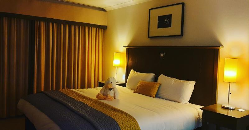 King Guest Room image 4