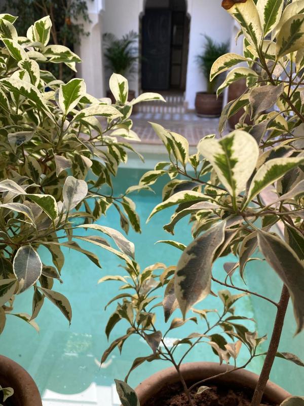 Riad Magellan - image 11