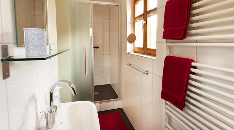 One-Bedroom Apartment with Shower image 2