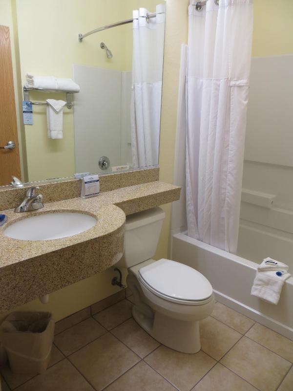 Queen Studio Suite with Bath Tub - Mobility/Hearing Accessible - Non-Smoking image 2