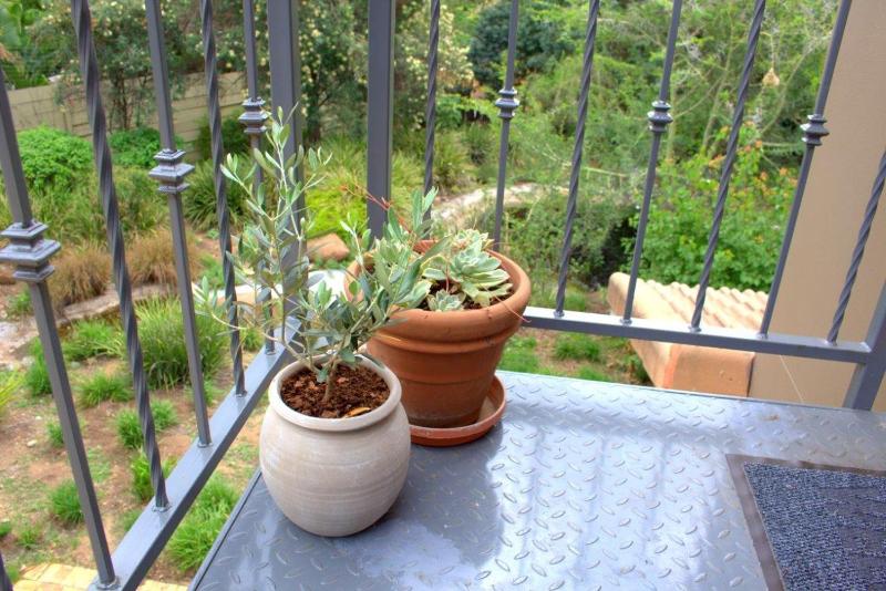 Wild Olive Executive Suite - image 10