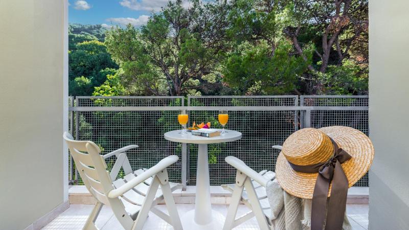 Double Room with Balcony and Park View image 1