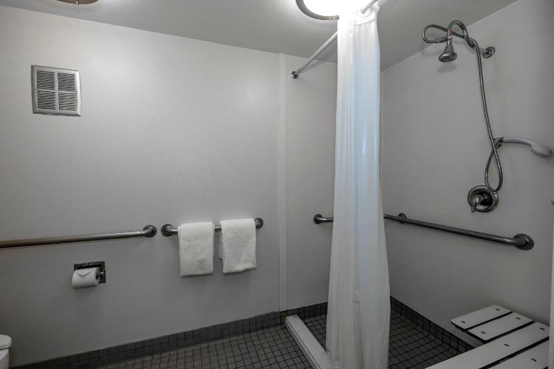 Deluxe Queen Room Disability Access Roll-In Shower Non-Smoking image 2