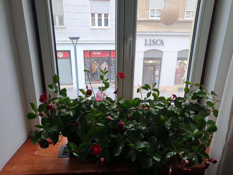 Apartment image 2