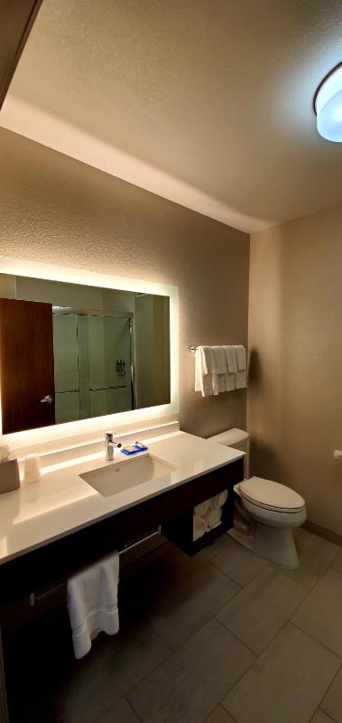 Standard King Room image 4