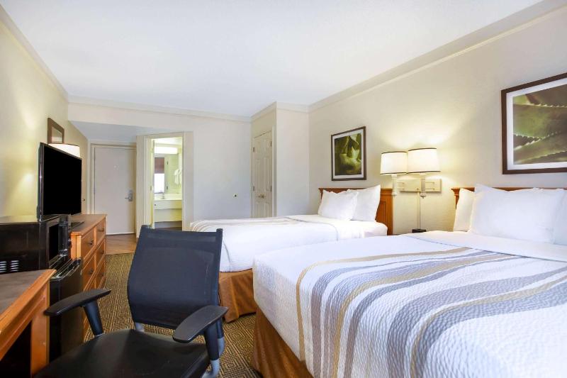 Deluxe Room with Two Double Beds image 4