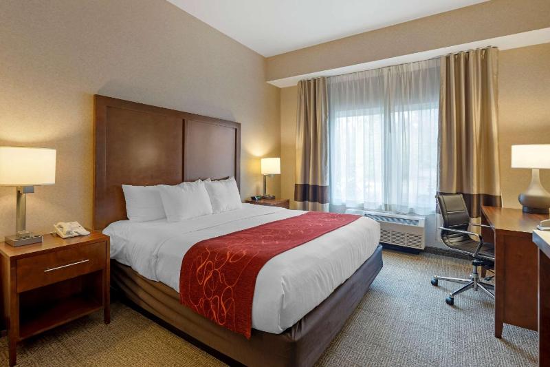 King Suite - Non-Smoking image 4