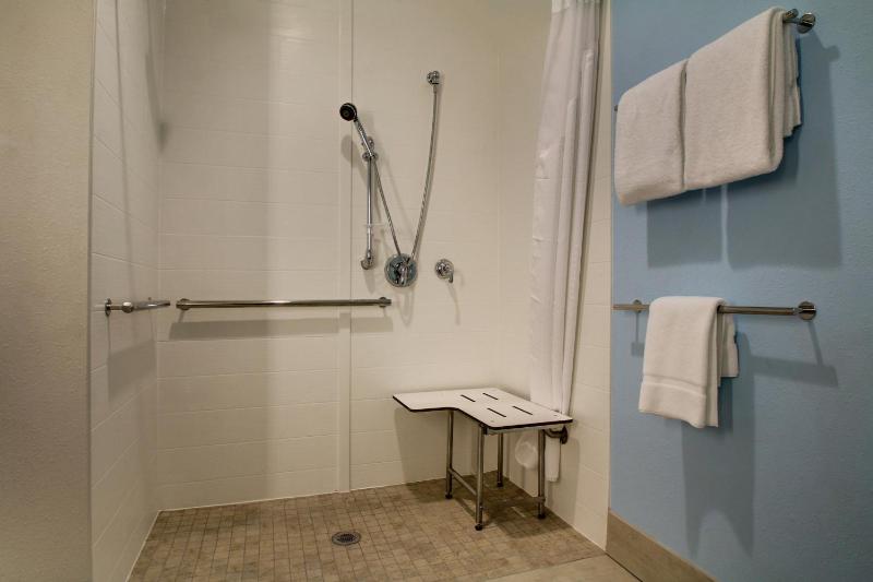 King Room - Disability Access Roll in Shower image 3