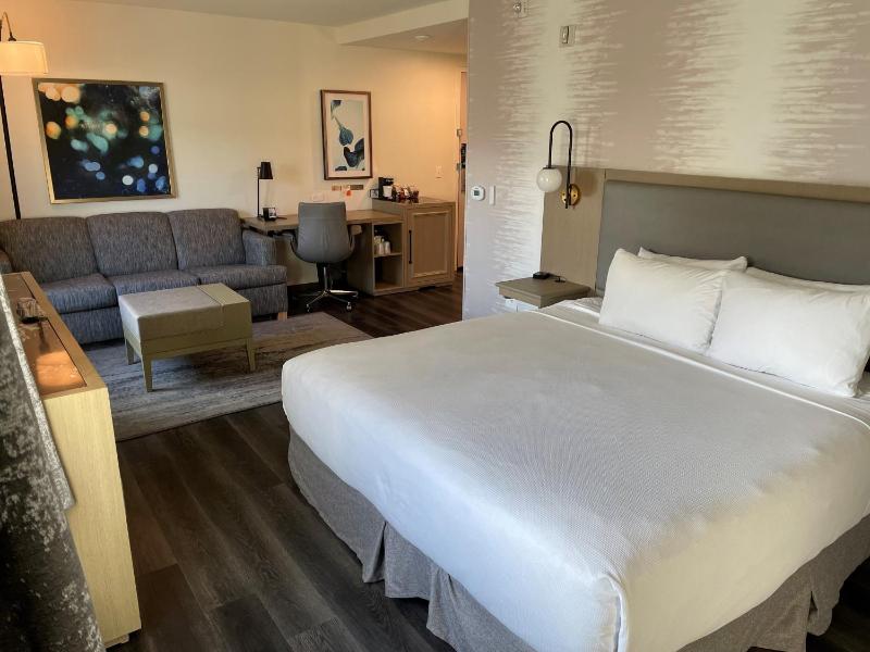 King Room with Roll-In Shower - Disability Access image 4