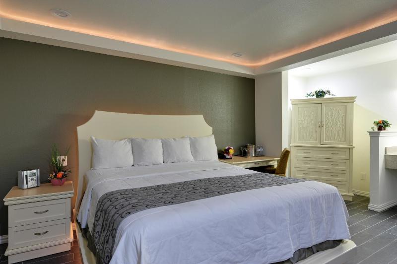 Deluxe King Suite image 4